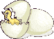 Birds graphics