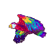 Birds graphics