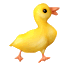 Birds graphics
