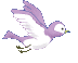 Birds graphics