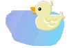 Birds graphics