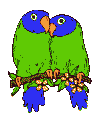 Birds graphics