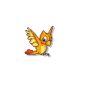 Birds graphics