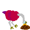 Birds graphics