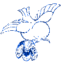 Birds graphics
