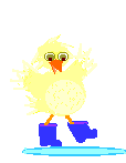 Birds graphics