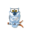 Birds graphics
