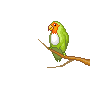 Birds graphics
