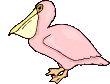 Birds graphics