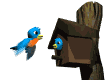 Birds graphics
