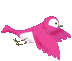 Birds graphics
