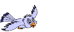 Birds graphics