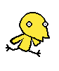 Birds graphics