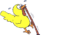 Birds graphics