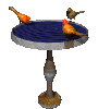 Birds graphics