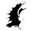 Birds graphics