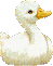 Birds graphics