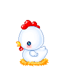 Birds graphics