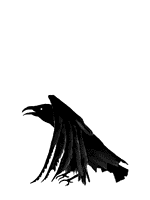 Birds graphics