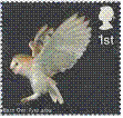 Birds graphics