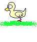 Birds graphics