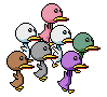 Birds graphics