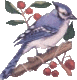 Birds graphics