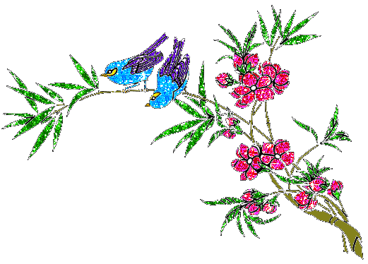 Birds graphics