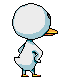 Birds graphics