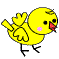 Birds graphics