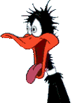 Birds graphics