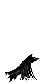 Birds graphics