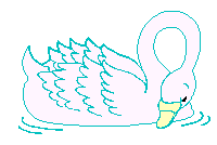 Birds graphics