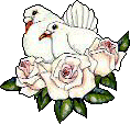 Birds graphics