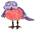 Birds graphics