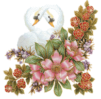 Birds graphics