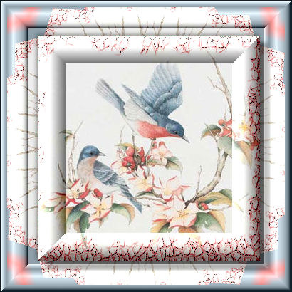 Birds graphics