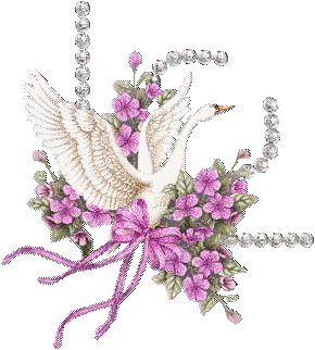 Birds graphics