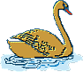 Birds graphics