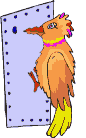 Birds graphics