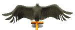 Birds graphics