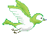 Birds graphics