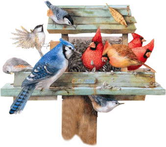 Birds graphics