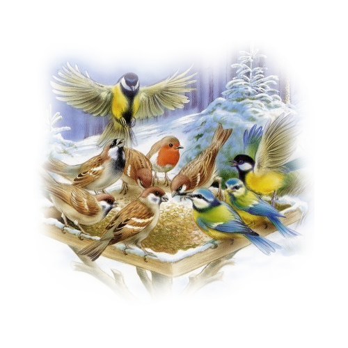Birds graphics
