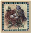 Birds graphics
