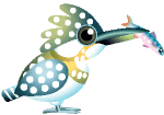 Birds graphics