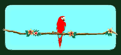 Birds graphics