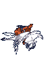 Birds graphics