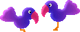 Birds graphics