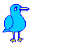 Birds graphics